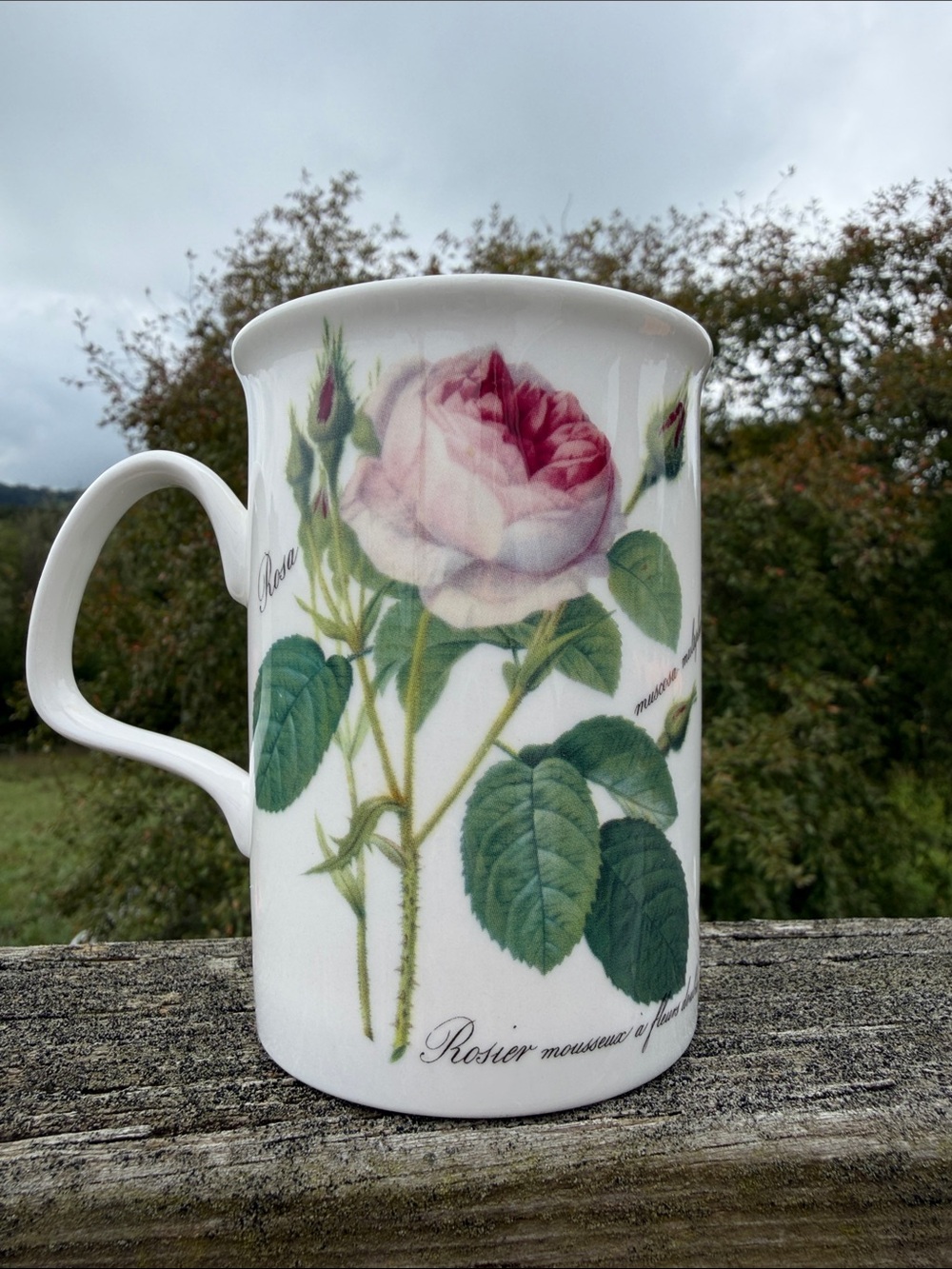 Roy Kirkham Redouté Roses Mug - Picture 3 of 9